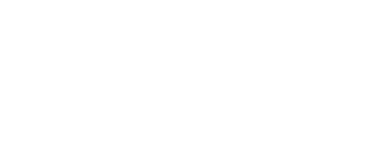 Vista Geomatics